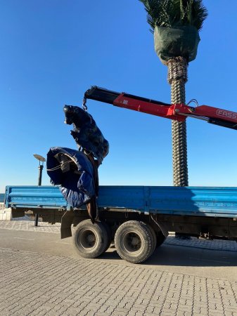 «Дуракам закон не писан» - Жители Актау пожаловались на прокатчиков на набережной