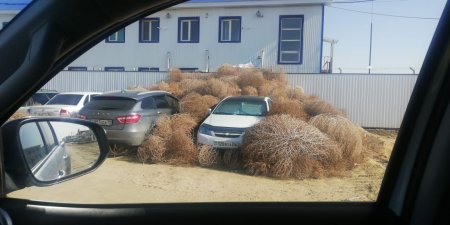 Придумайте подпись