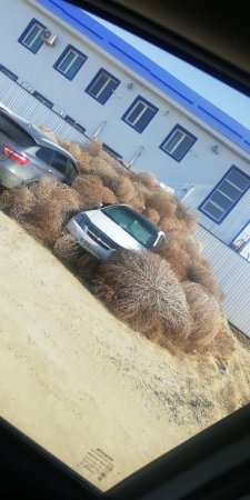 Придумайте подпись