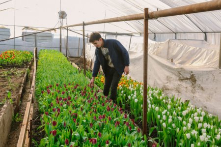 Прибыльный бизнес. Сколько зарабатывают на продаже цветов 8 Марта