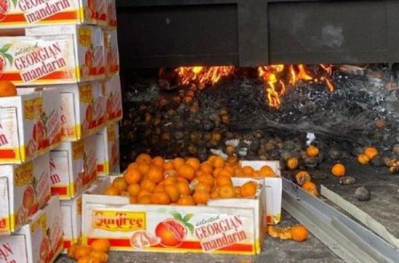 Более тонны опасных мандаринов уничтожили в Нур-Султане