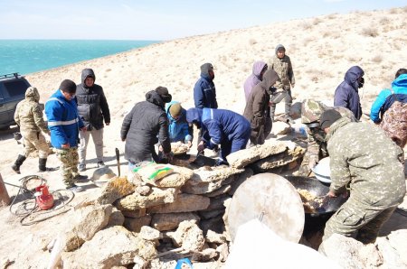 В Мангистау открыли сезон подводной охоты