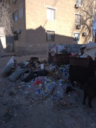 Село Мангистау превращается мусорную свалку