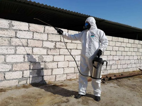 Убойный пункт дезинфицировали в пригороде Актау