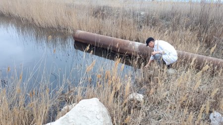 Департамент экологии Мангистау: Требуется установить хозяина земли в районе «Солдатского пляжа»