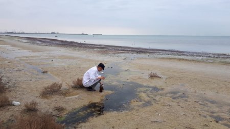 Департамент экологии Мангистау: Требуется установить хозяина земли в районе «Солдатского пляжа»