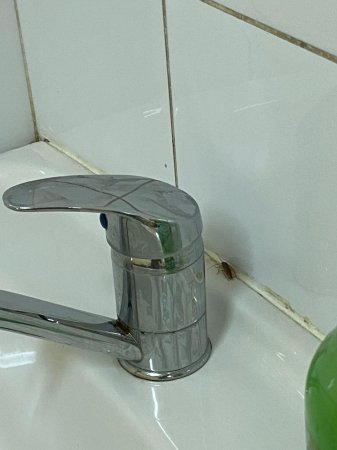 Госпитализированная на карантин жительница Актау пожаловалась на тараканов в противотуберкулёзном диспансере