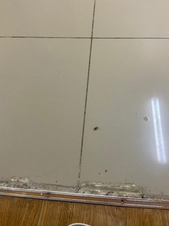 Госпитализированная на карантин жительница Актау пожаловалась на тараканов в противотуберкулёзном диспансере