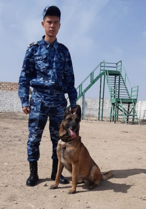 В Актау собака по кличке Чак помогла обнаружить наркотики