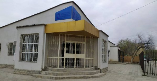 Спасённый тюленёнок в Актау получил травму головы