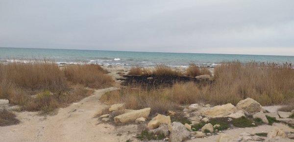 На набережной Актау загорелся сухостой