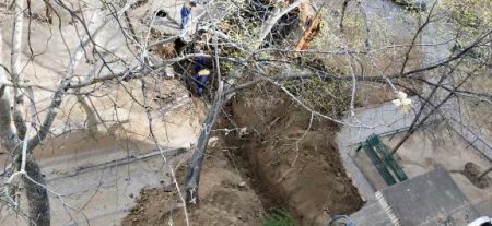 Беспорядки от ТВС