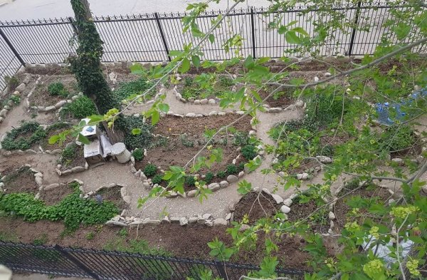 Пенсионерку в Актау могут лишить палисадника