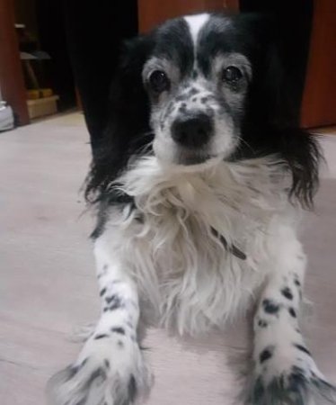 Пропал Друг Семьи