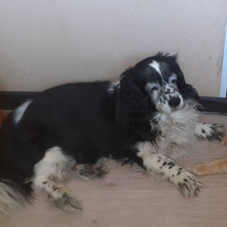 Пропал Друг Семьи