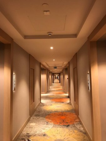 Rixos Актау ВИДЕО