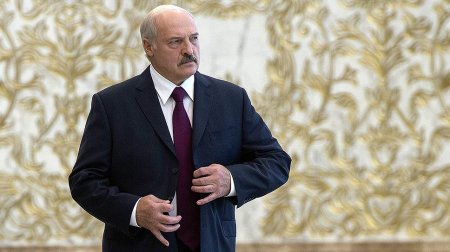«Президентом будет мужик»: Белоруссия готовится к выборам