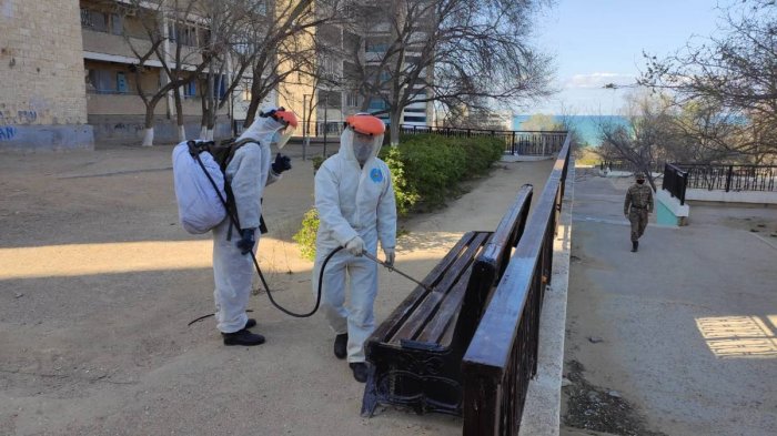 В сражении за жизнь: Как мы боролись с коронавирусом