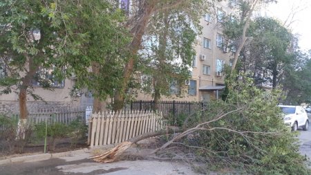 Ветка с дерева упала на машину