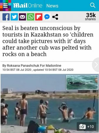 Это дикость! Президент Казахстана высказался об избиении тюленя в Мангистау
