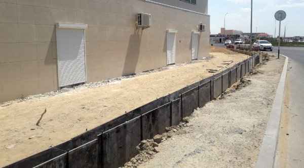 Деревья возле рынка в Актау полностью выкорчевали