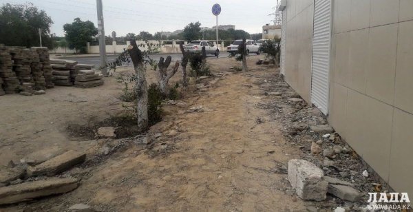 Городские власти обязали хозяина рынка в Актау высадить новые деревья