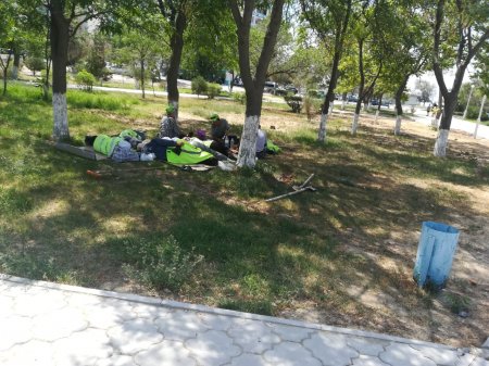 Молитва об акиме или почему в Актау не смогли организовать полив дереьев во всех микрорайонах