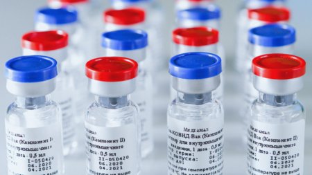 В России начали производить вакцину от коронавируса