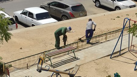 Проложили и «забили»! В Актау провели систему капельного полива одноразового использования