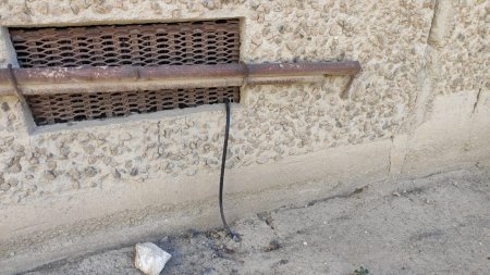 Проложили и «забили»! В Актау провели систему капельного полива одноразового использования