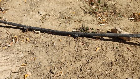 Проложили и «забили»! В Актау провели систему капельного полива одноразового использования