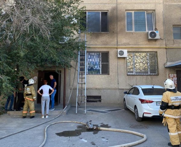 Пожарные спасли кошку из горящей квартиры в Актау