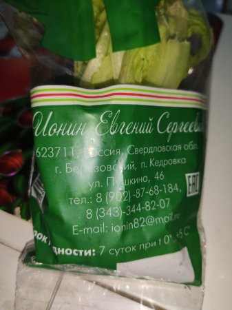 Летучая мышь оказалась в пакете из супермаркета Костаная