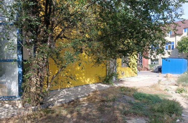 Вырубку деревьев у супермаркета в 12 микрорайоне Актау прокомментировали в акимате