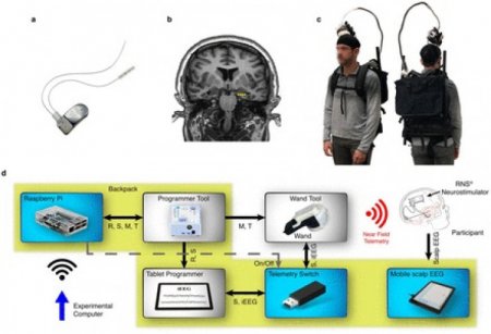 Разработан рюкзак, сканирующий мозг на ходу