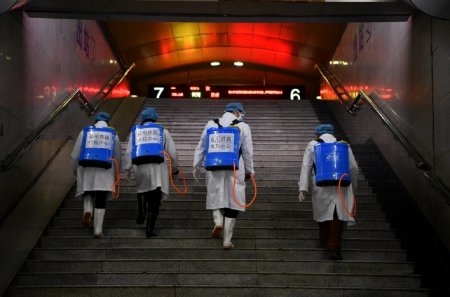 Режим ЧС объявили в Китае из-за вспышки бубонной чумы