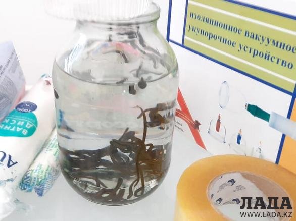 Семейная пара из Шетпе открыла Центр лечения пиявками