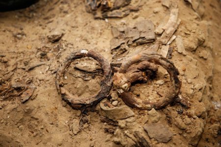 Останки древнего воина обнаружили в Атырауской области
