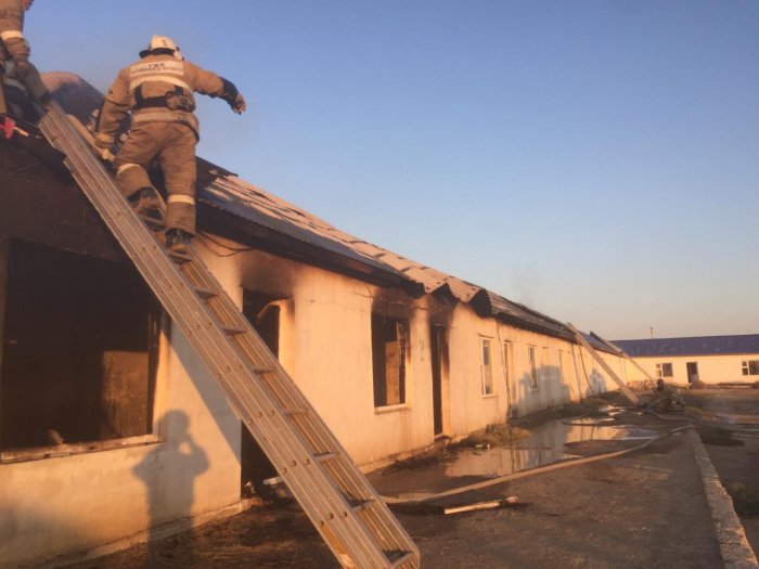 Не только пожары тушим! В Актау спасатели ловили змею и летучую мышь