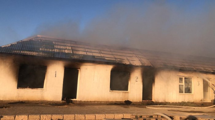 Не только пожары тушим! В Актау спасатели ловили змею и летучую мышь