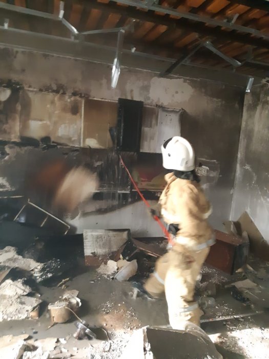 Не только пожары тушим! В Актау спасатели ловили змею и летучую мышь