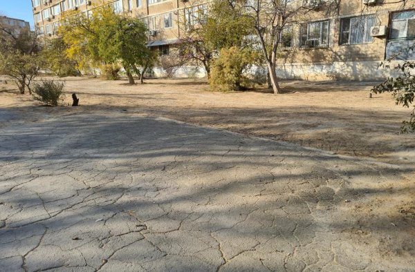 Власти Актау пообещали восстановить лавочки в аллее 11 микрорайона