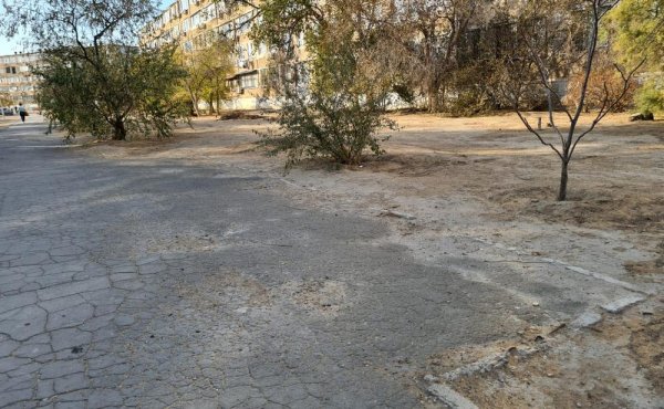 Власти Актау пообещали восстановить лавочки в аллее 11 микрорайона