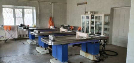 Волонтеры ужаснулись состоянием моргов в Казахстане