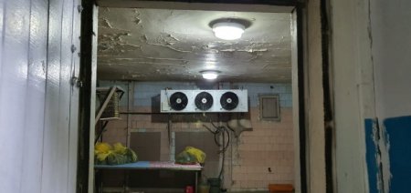 Волонтеры ужаснулись состоянием моргов в Казахстане