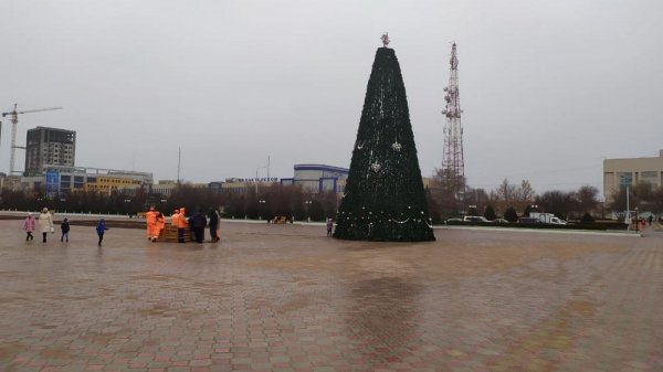 В Актау устанавливают новогодние ёлки