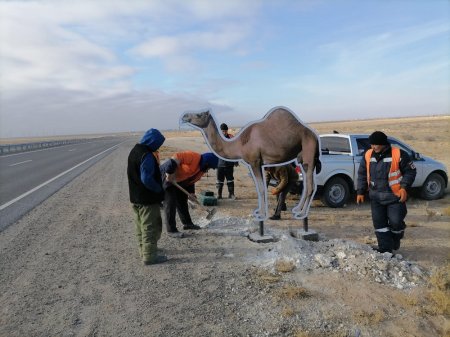 Муляжи животных начали устанавливать на трассах Мангистау