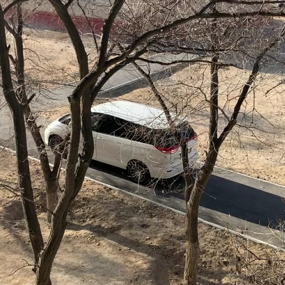 университетская 17 сургут. петербурженка на набережной. видимо перепутала. видимо перепутала. двойные качели для детской площадки.