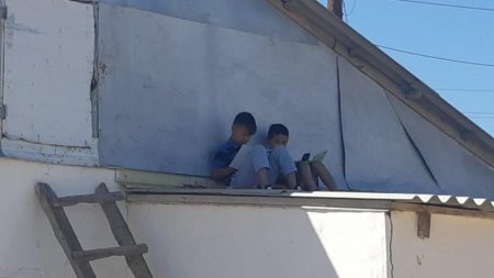 «Дети сильно расслабились»: Как дистанционка повлияла на школьное образование в Казахстане?