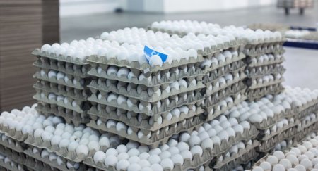 Исключить яйца I категории из социально-значимых продуктов могут в РК
